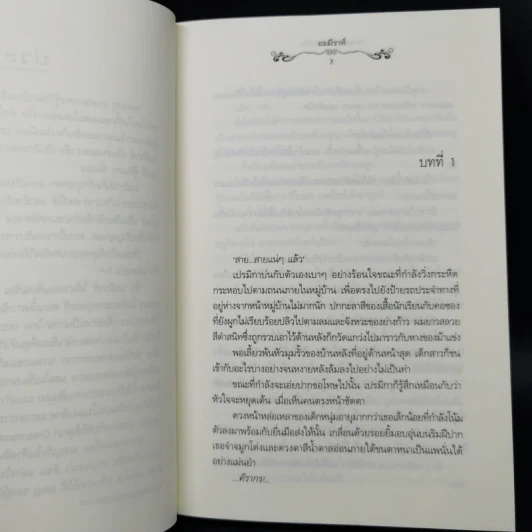 ผจญภัยในห้วงฝัน - อะมีราห์ รูปที่ 9