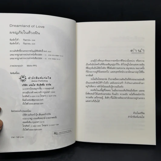 ผจญภัยในห้วงฝัน - อะมีราห์ รูปที่ 8