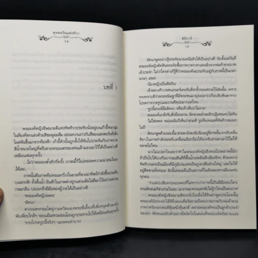 นิยายแจ่มใส ดุจตะวันแห่งทิวา - ลิปิการ์ (เด็กทะเล) รูปที่ 10