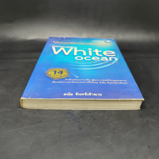 White Ocean Strategy กลยุทธ์น่านน้ำสีขาว - ดนัย จันทร์เจ้าฉาย รูปที่ 4