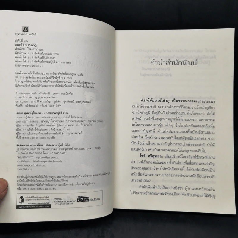 ดอกไม้บานที่เชิงภู - โชติ ศรีสุวรรณ รูปที่ 8