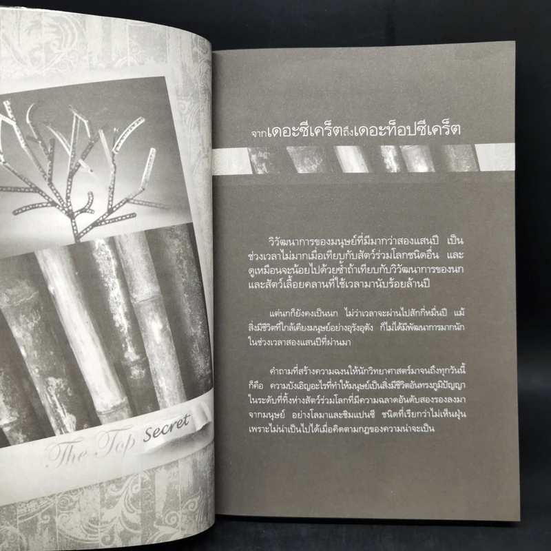 The Top Secret เดอะท็อปซีเคร็ต - ทันตแพทย์สม สุจีรา รูปที่ 12