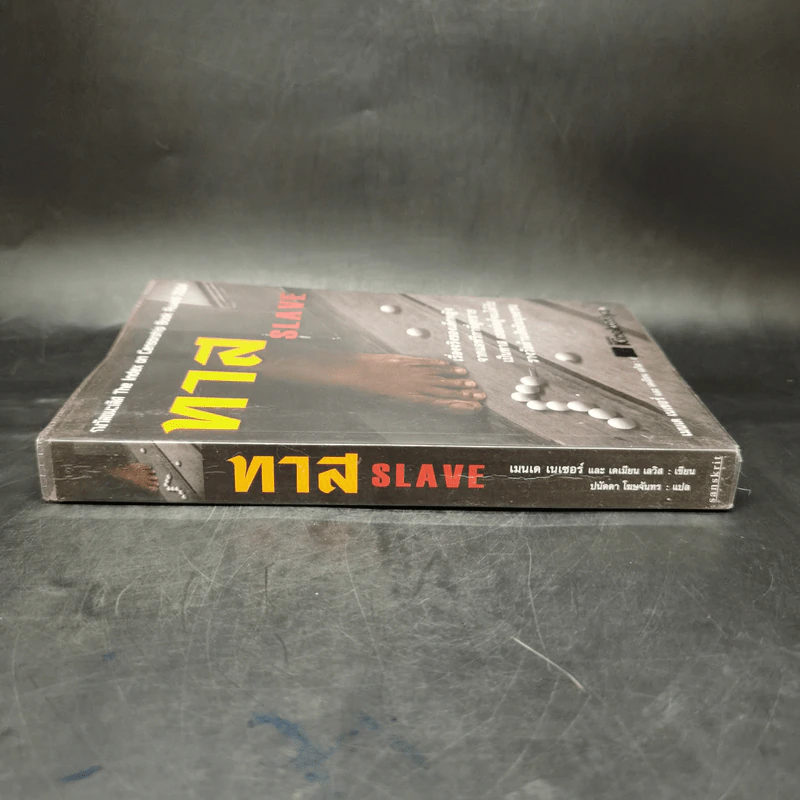 ทาส Slave - เมนเด เนเซอร์ม, เดเมียน เลวิส รูปที่ 3