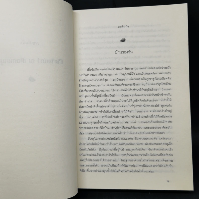 ทาส Slave - เมนเด เนเซอร์ม, เดเมียน เลวิส รูปที่ 11