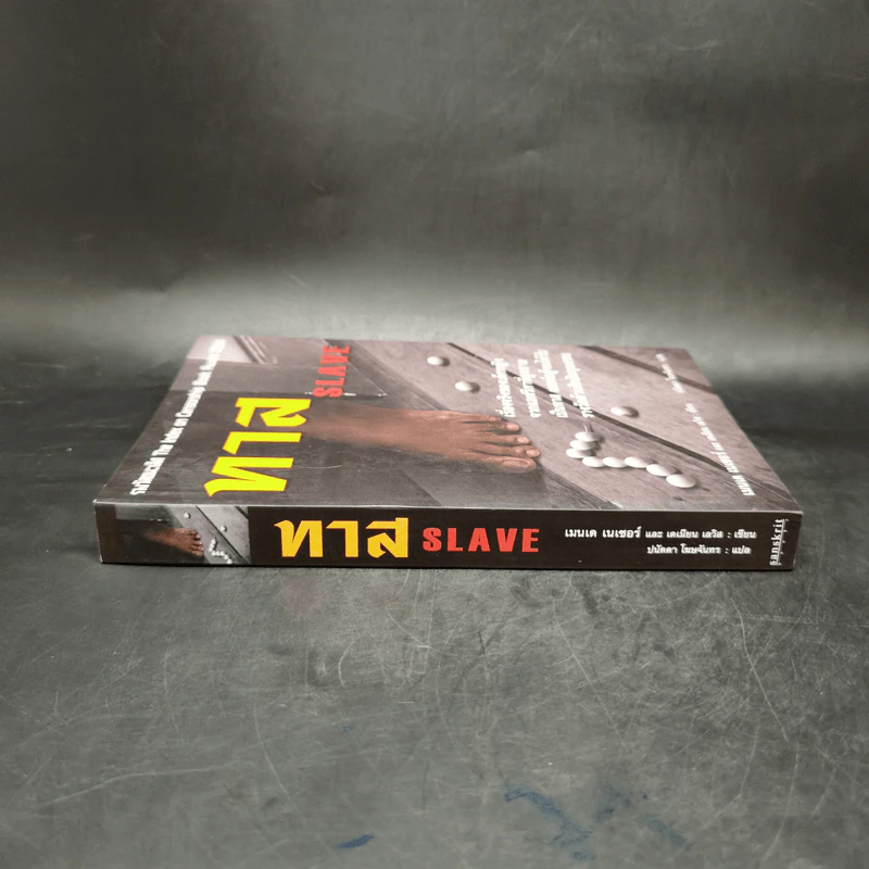 ทาส Slave - เมนเด เนเซอร์ม, เดเมียน เลวิส รูปที่ 3