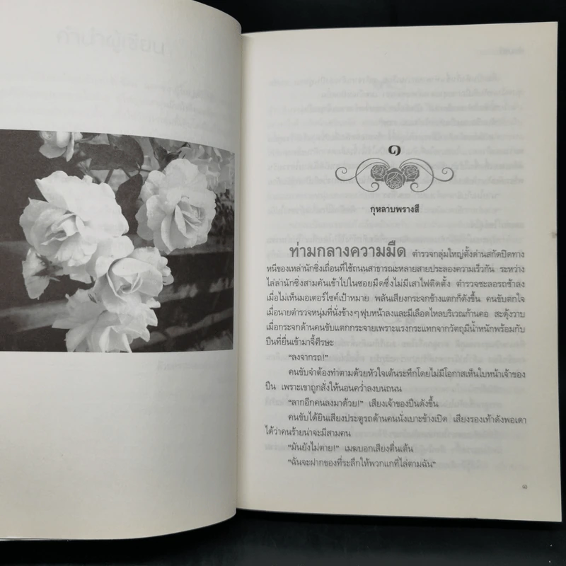 กุหลาบพรางสี - ช่อมณี รูปที่ 9