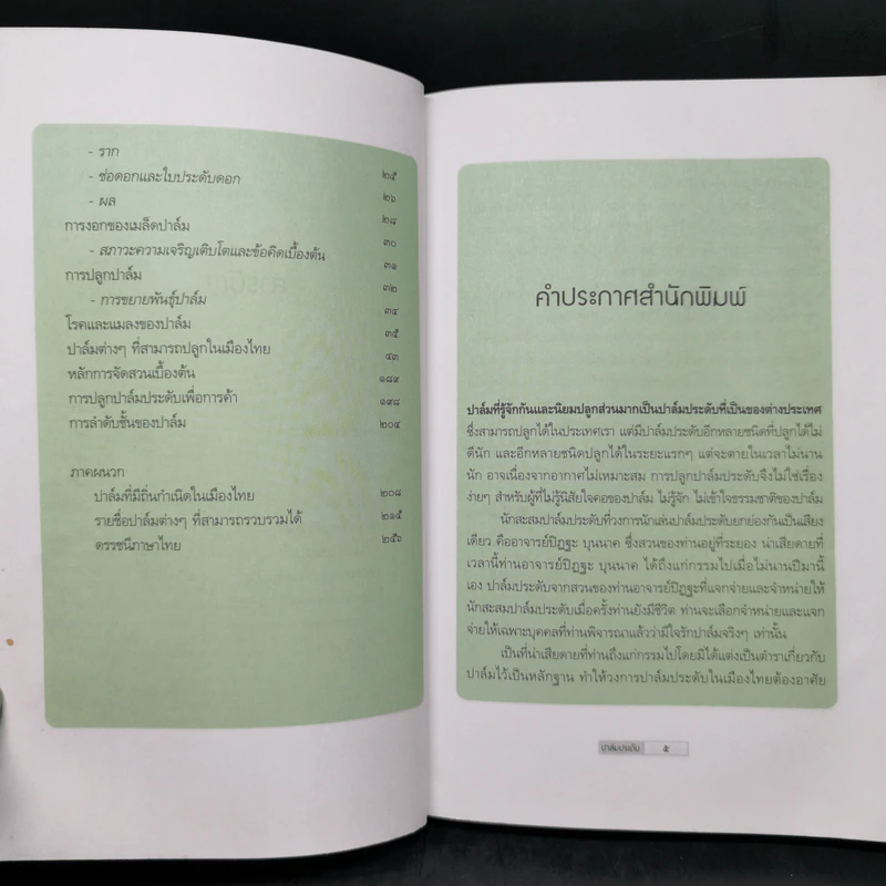 ปาล์มประดับที่ปลูกได้ในประเทศไทย - สวัสดิ์ หรั่งเจริญ รูปที่ 11