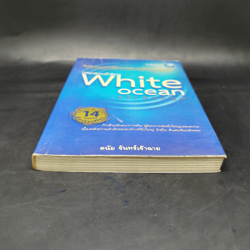 White Ocean Strategy กลยุทธ์น่านน้ำสีขาว - ดนัย จันทร์เจ้าฉาย รูปที่ 4