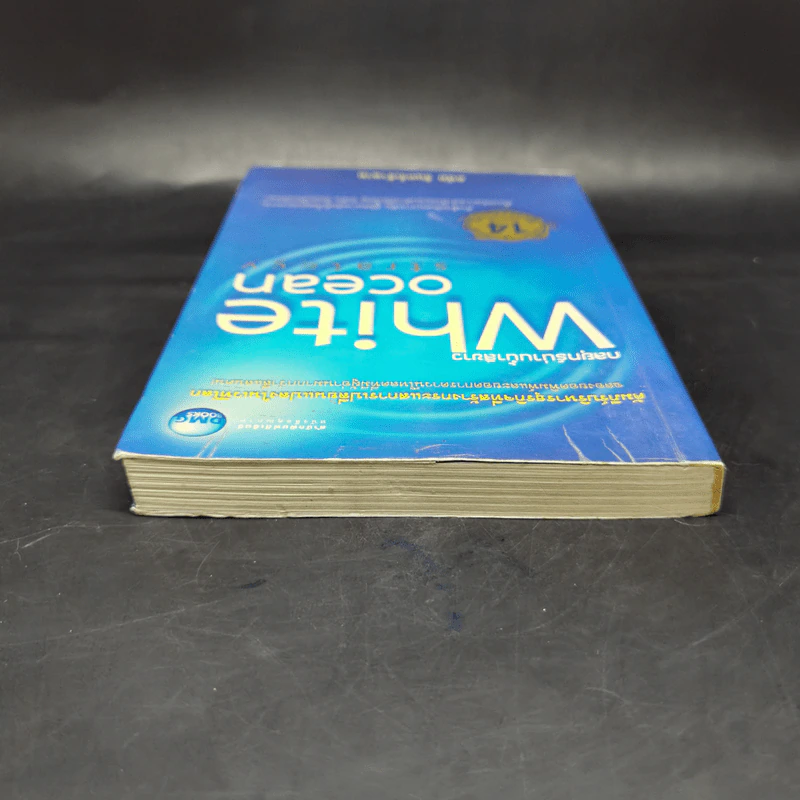 White Ocean Strategy กลยุทธ์น่านน้ำสีขาว - ดนัย จันทร์เจ้าฉาย รูปที่ 6
