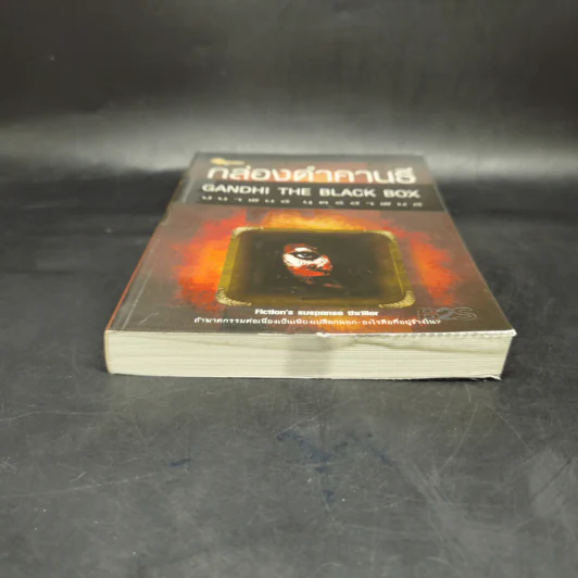 กล่องดำคานธี Gandhi the Black Box - ปนาพันธุ์ นุตร์อำพันธ์ รูปที่ 4