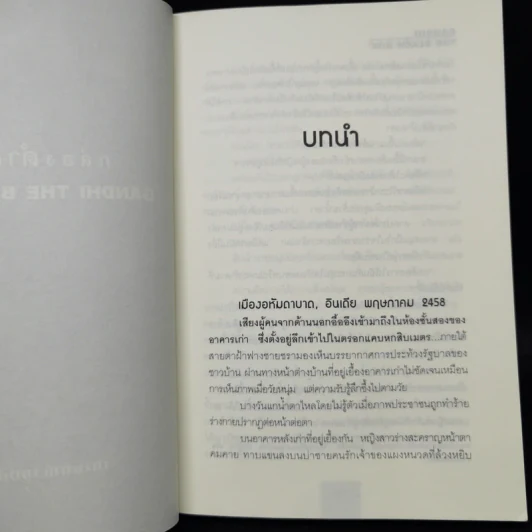 กล่องดำคานธี Gandhi the Black Box - ปนาพันธุ์ นุตร์อำพันธ์ รูปที่ 9