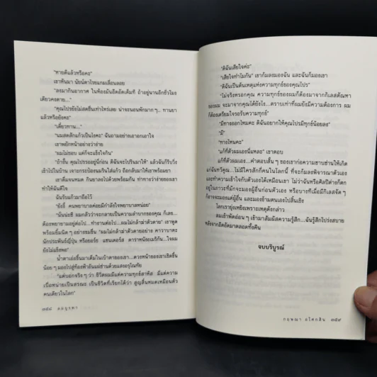 ลมบูรพา - กฤษณา อโศกสิน รูปที่ 10