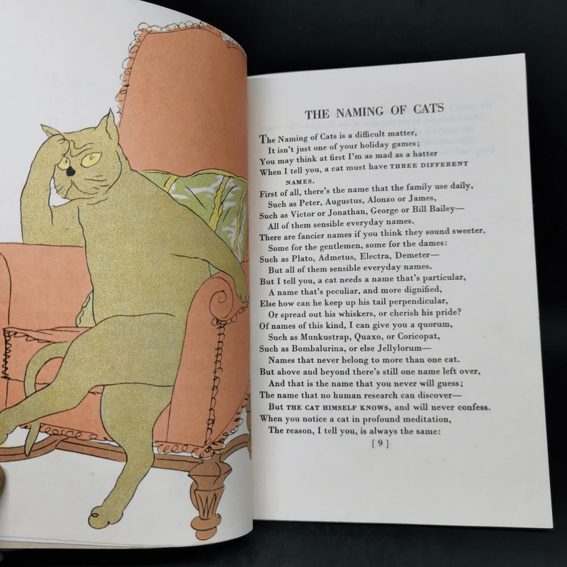 The Illustrated Old Possum รูปที่ 11