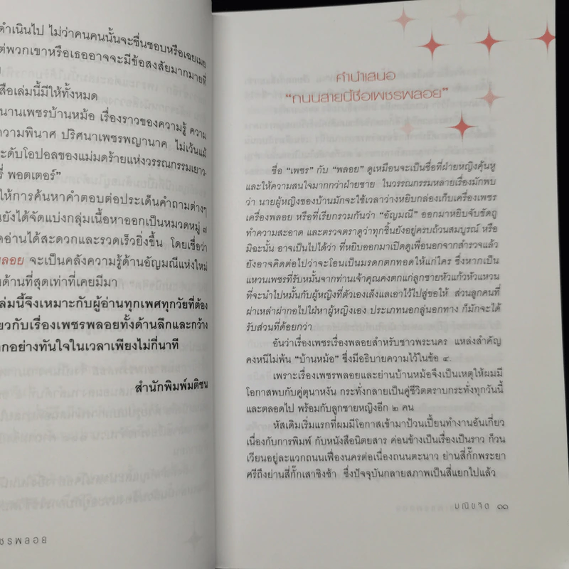 ถนนสายเพชรพลอย - มณิขจิต รูปที่ 10