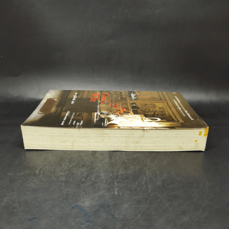 เมียเจ้า The Kitchen God's Wife - Amy Tan (เอมี่ ตัน) รูปที่ 5