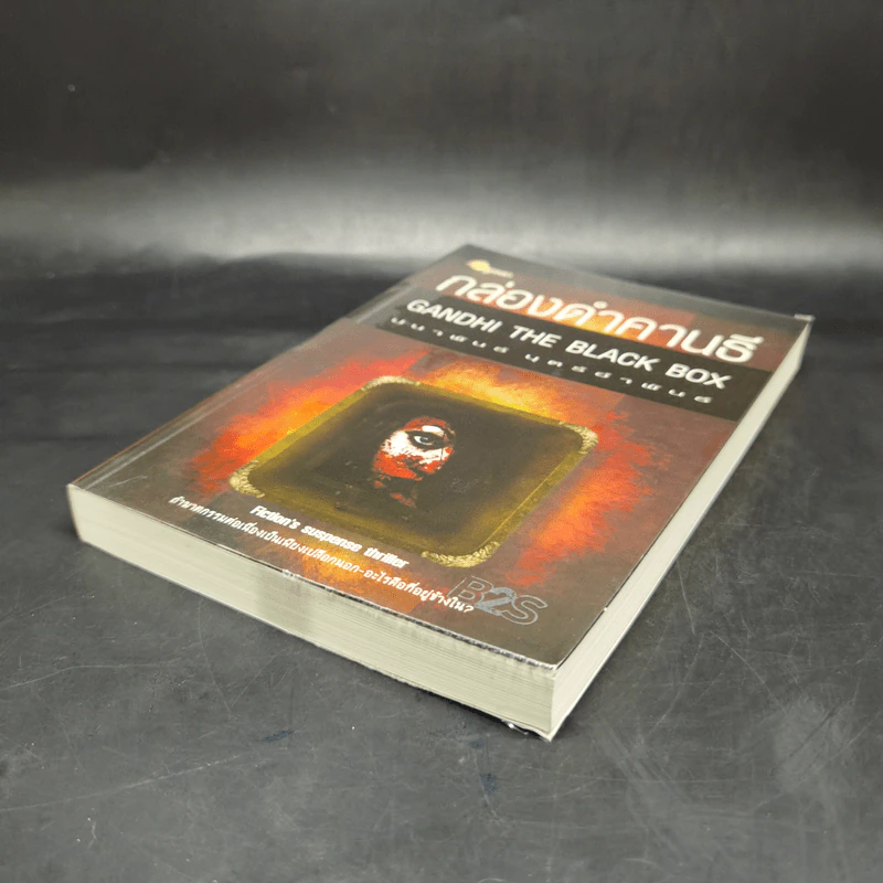 กล่องดำคานธี Gandhi the Black Box - ปนาพันธุ์ นุตร์อำพันธ์ รูปที่ 7