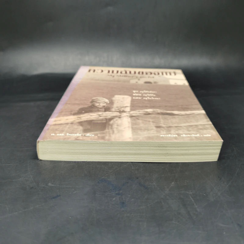 ความลับของแม่ My Mother's secret - J.L. Witterick รูปที่ 4