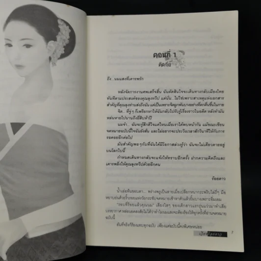 เวียงร้อยดาว - บินละเว รูปที่ 10