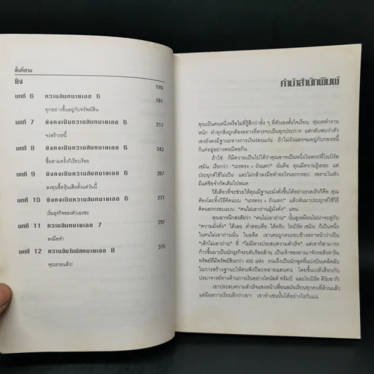 รวยได้ไม่ต้องเอาถ่าน - Robert Shemin รูปที่ 9