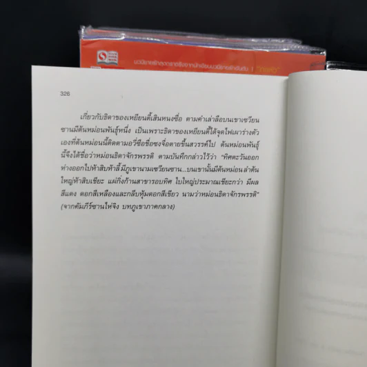 ลำนำรักเทพสวรรค์ ภาค หนึ่งคำมั่น สัญญานิรันดร์ 4 เล่มจบ - ถงหัว รูปที่ 10