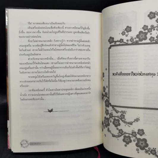 บุปผาล่มเมือง 2 เล่มจบ - โม่เหยียน รูปที่ 12