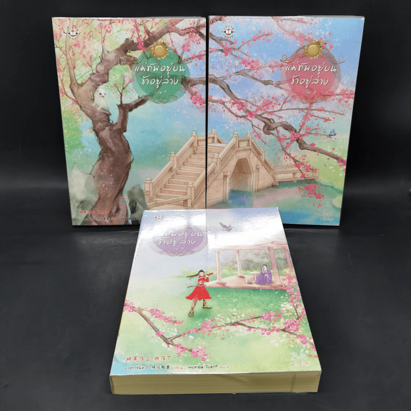 แม่ทัพอยู่บน ข้าอยู่ล่าง 3 เล่มจบ Boxset - จวี๋ฮวาซั่นหลี่ รูปที่ 5