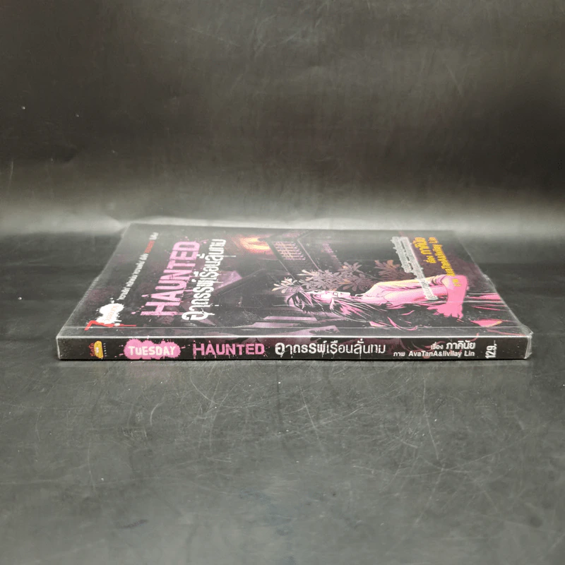 การ์ตูน Haunted อาถรรพ์เรือนลั่นทม - ภาคินัย รูปที่ 3