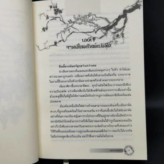 เพชรยอดคทา 2 เล่มจบ (ปกแข็ง) - เฉียนลู่ รูปที่ 9