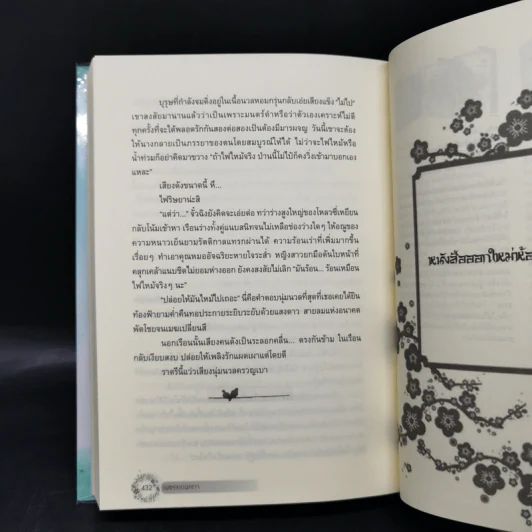 เพชรยอดคทา 2 เล่มจบ (ปกแข็ง) - เฉียนลู่ รูปที่ 11