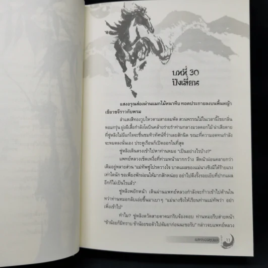 เพชรยอดขุนพล 3 เล่มจบ (ปกแข็ง) - เฉียนลู่ รูปที่ 15