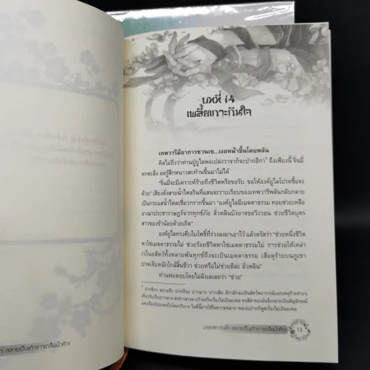 มธุรสหวานล้ำสลายเป็นเถ้าราวเกล็ดน้ำค้าง 2 เล่มจบ (ปกแข็ง) - เตี้ยนเสี้ยน รูปที่ 9