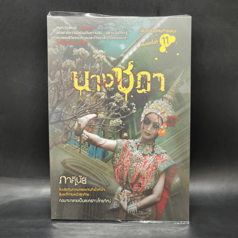 นางชฎา - ภาคินัย รูปที่ 1