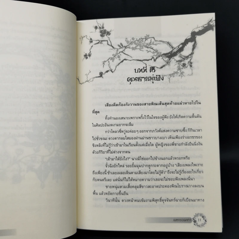 เพชรยอดคทา 2 เล่มจบ (ปกแข็ง) - เฉียนลู่ รูปที่ 10