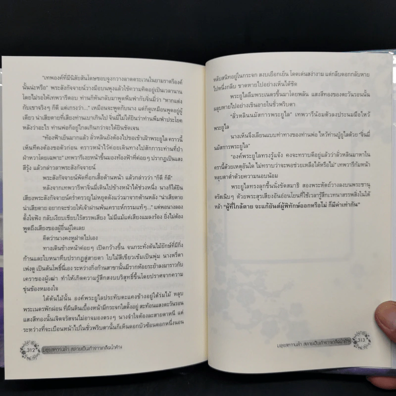 มธุรสหวานล้ำสลายเป็นเถ้าราวเกล็ดน้ำค้าง 2 เล่มจบ (ปกแข็ง) - เตี้ยนเสี้ยน รูปที่ 13
