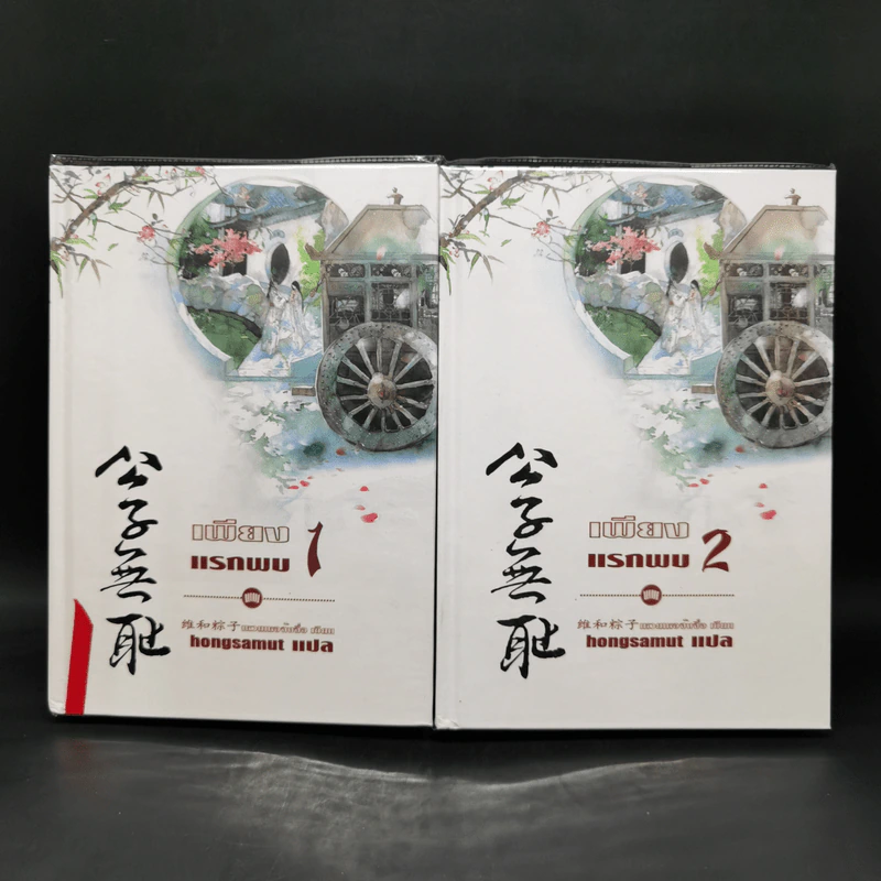 เพียงแรกพบ 2 เล่มจบ - เหวยเหอจ้งจื่อ รูปที่ 1