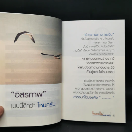 แผนการเงินฉบับใช้ได้ตลอดชีพ - มงคล ลุสัมฤทธิ์ รูปที่ 11