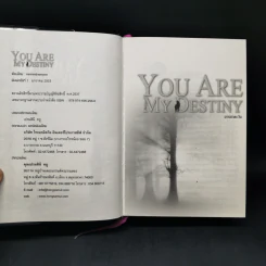 You Are My Destiny 2 เล่มจบ - มารยาตะวัน รูปที่ 10