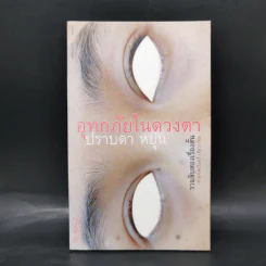 อุทกภัยในดวงตา - ปราบดา หยุ่น รูปที่ 1