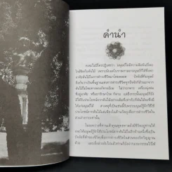 ต้นโมกข์ - แก้ว-ขวัญ รูปที่ 9