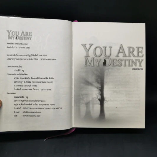 You Are My Destiny 2 เล่มจบ - มารยาตะวัน รูปที่ 10
