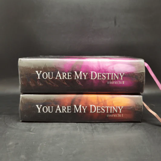 You Are My Destiny 2 เล่มจบ - มารยาตะวัน รูปที่ 3