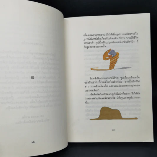 เจ้าชายน้อย ฉบับครบรอบ 70 ปี - Antoine de Saint-Exupery (อองตวน เดอ แซงเตก-ซูเปรี) รูปที่ 9
