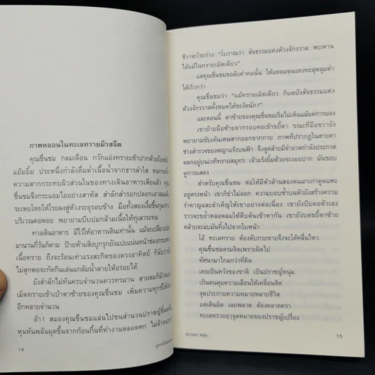 อุทกภัยในดวงตา - ปราบดา หยุ่น รูปที่ 11
