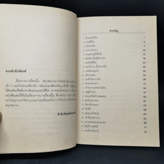 ถนนสายสู่ที่ที่ไม่มี - จันนี่ โรดารี่ รูปที่ 9