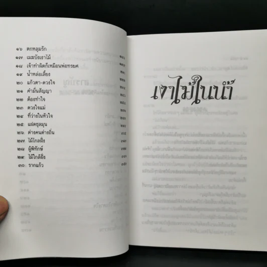 เงาไม้ในน้ำ - มิชิมา รูปที่ 10