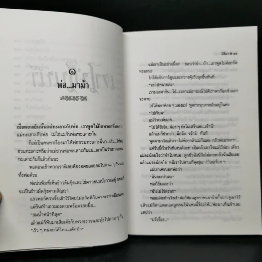 เงาไม้ในน้ำ - มิชิมา รูปที่ 11