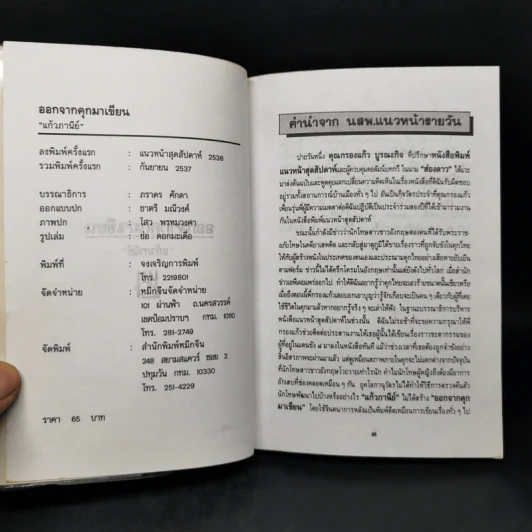 ออกจากคุกมาเขียน - แก้วภานีย์ รูปที่ 8