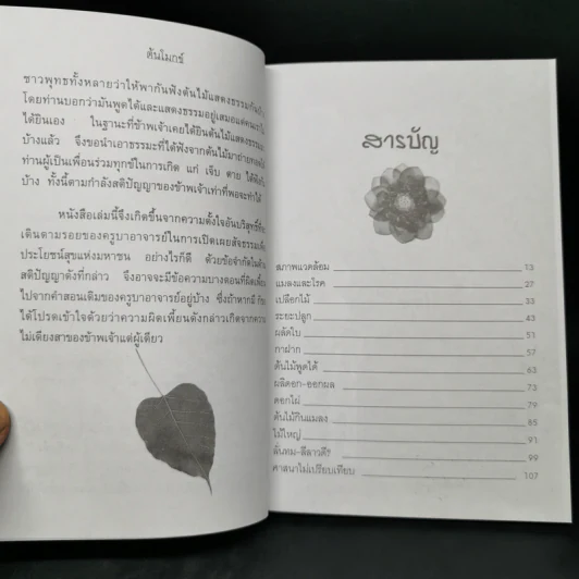 ต้นโมกข์ - แก้ว-ขวัญ รูปที่ 10
