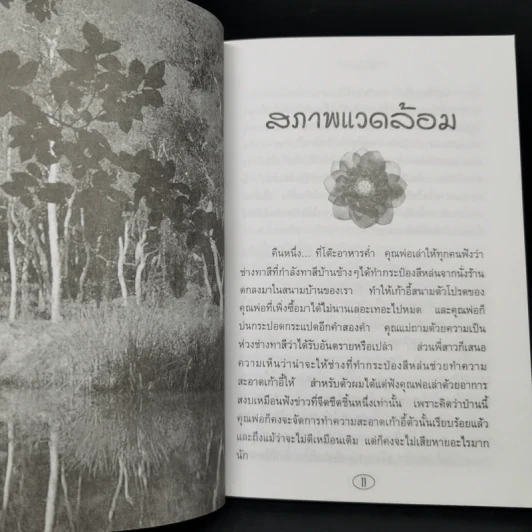 ต้นโมกข์ - แก้ว-ขวัญ รูปที่ 11