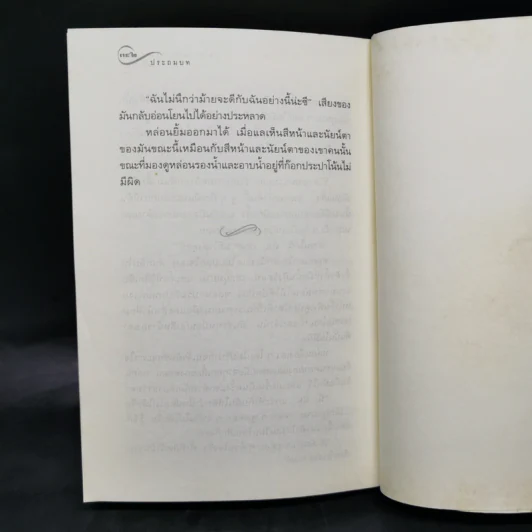 ช่อประยงคุ์ - อุษณา เพลิงธรรม รูปที่ 12